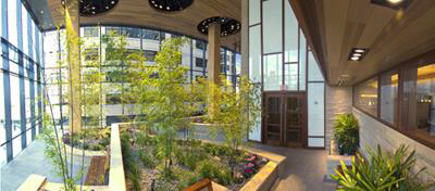 A well-lit building with green plants and full-length windows that surround it.