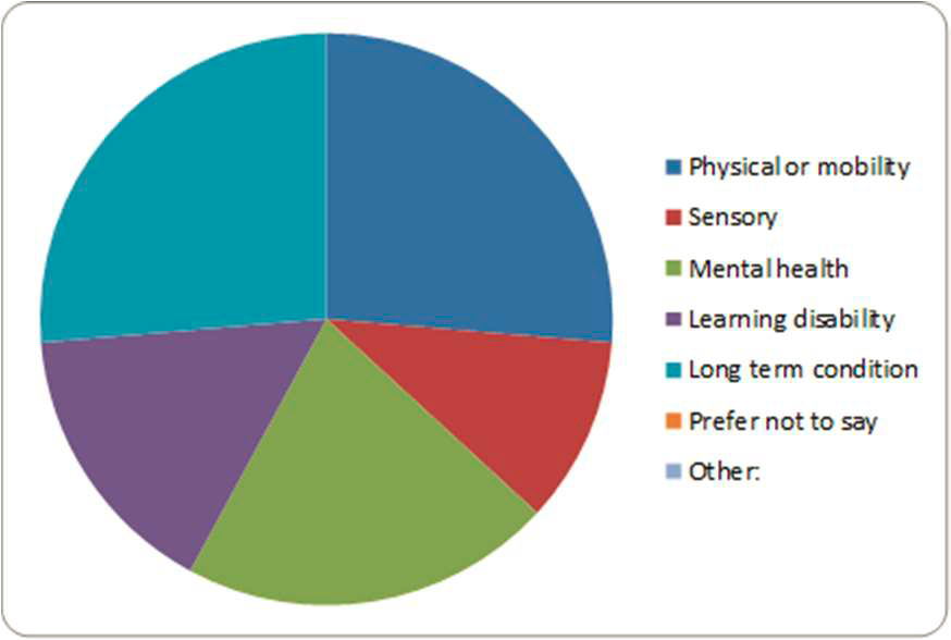 Pie Chart: Do you have a Long Term Conditions, Impairment, Illness?