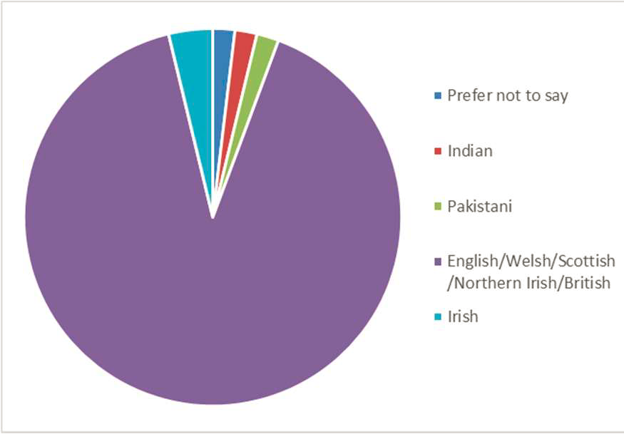 Pie Chart: Ethnic Group