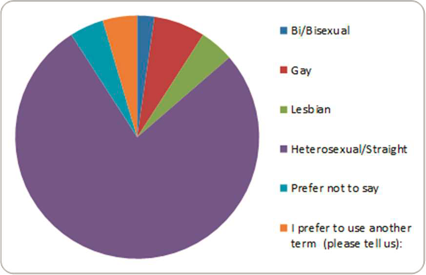 Pie Chart: Sexual Orientation